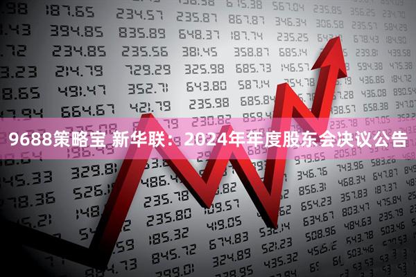 9688策略宝 新华联：2024年年度股东会决议公告