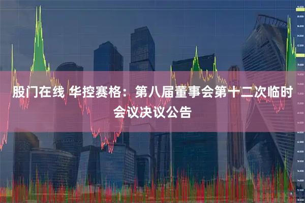 股门在线 华控赛格：第八届董事会第十二次临时会议决议公告