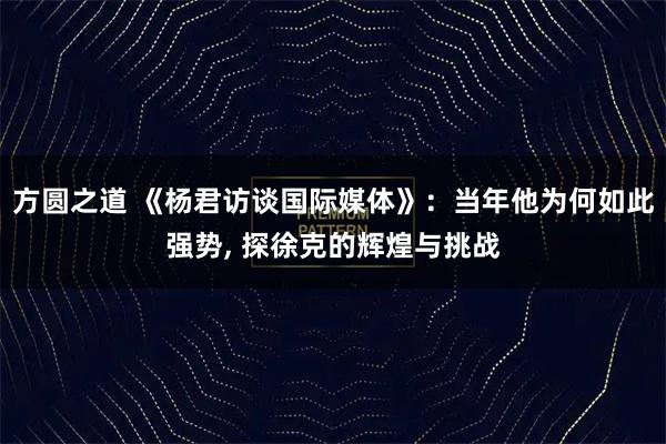 方圆之道 《杨君访谈国际媒体》：当年他为何如此强势, 探徐克的辉煌与挑战