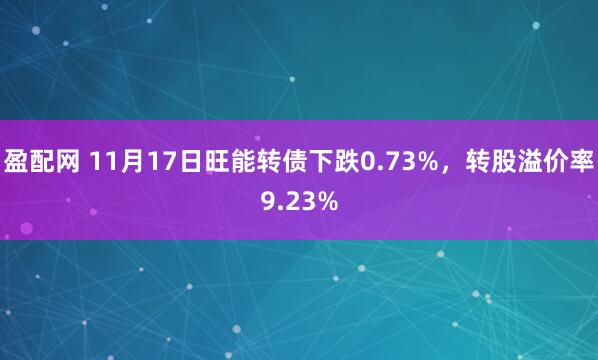 盈配网 11月17日旺能转债下跌0.73%，转股溢价率9.23%