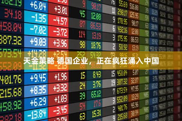 天金策略 德国企业，正在疯狂涌入中国