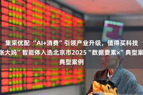 集采优配 “AI+消费”引领产业升级，值得买科技“张大妈”智能体入选北京市2025“数据要素×”典型案例