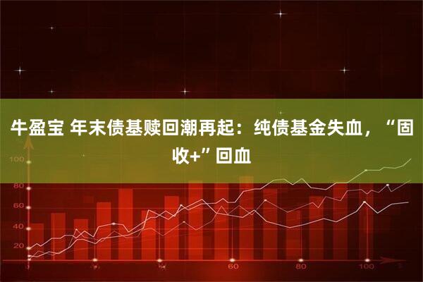 牛盈宝 年末债基赎回潮再起：纯债基金失血，“固收+”回血